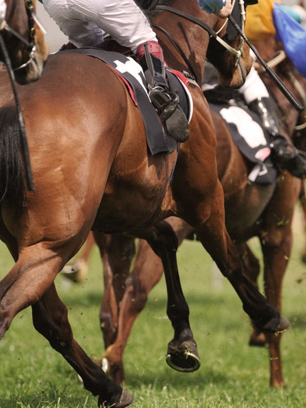 The UK’s Finest Horse Racing Days