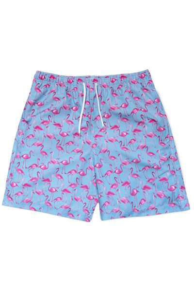 Flamingo Swim Shorts