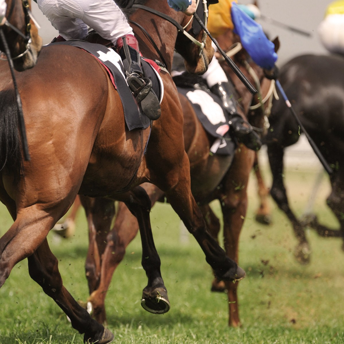 The UK’s Finest Horse Racing Days