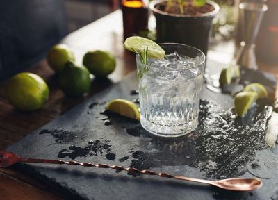 9 Gin Brands To Try Now