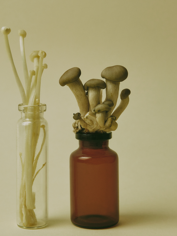 Medicinal Mushrooms: What They Are & How They Work