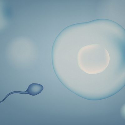 Sperm Health 101