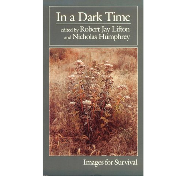 In a Dark Time from RJ Lifton