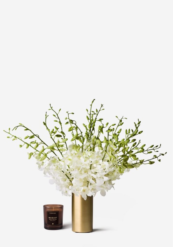 Chantilly Lace Dendrobium Cut Orchid
