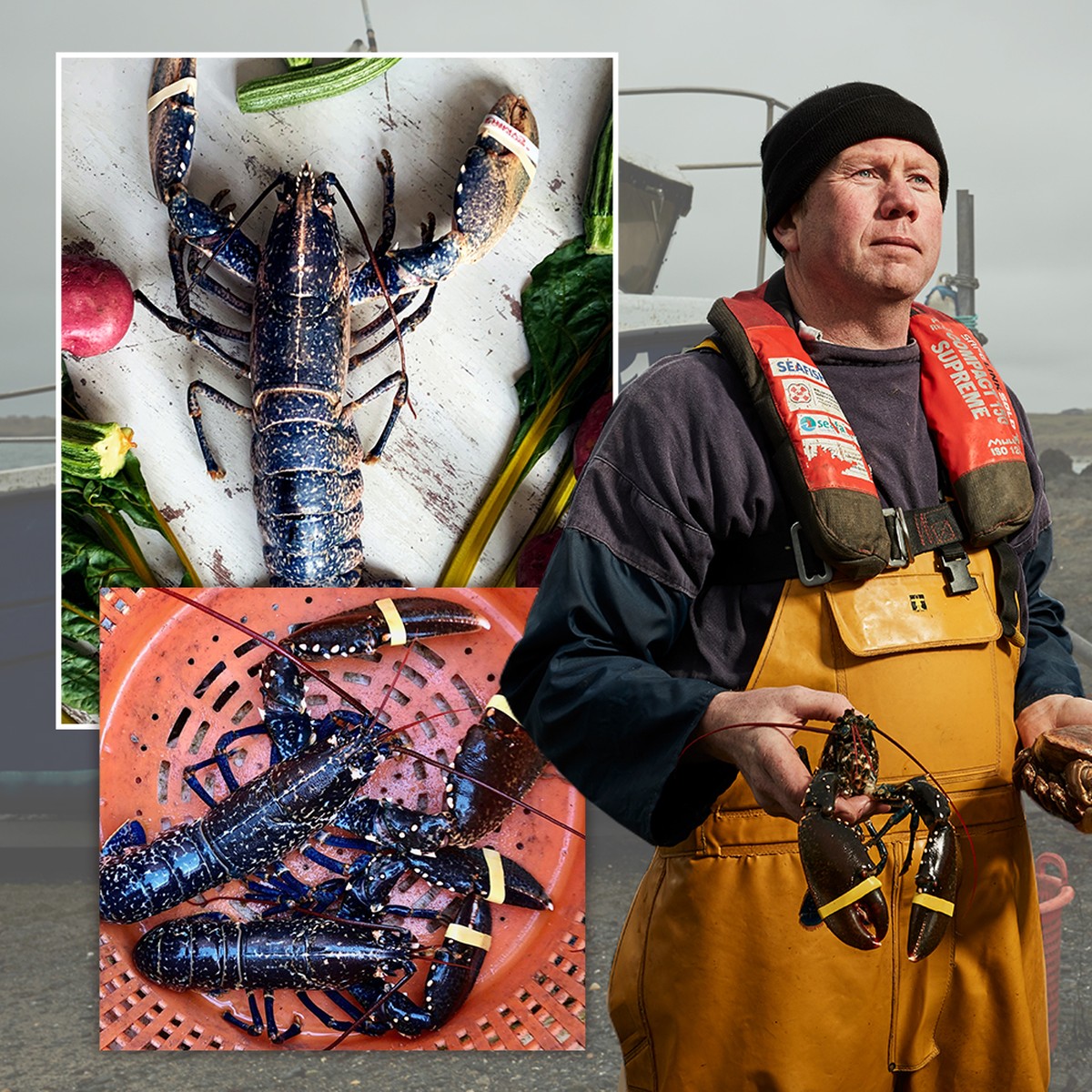 Success Story: Lockdown Lobsters