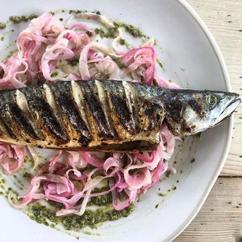 Mackerel, Fennel & Red Onion Salad