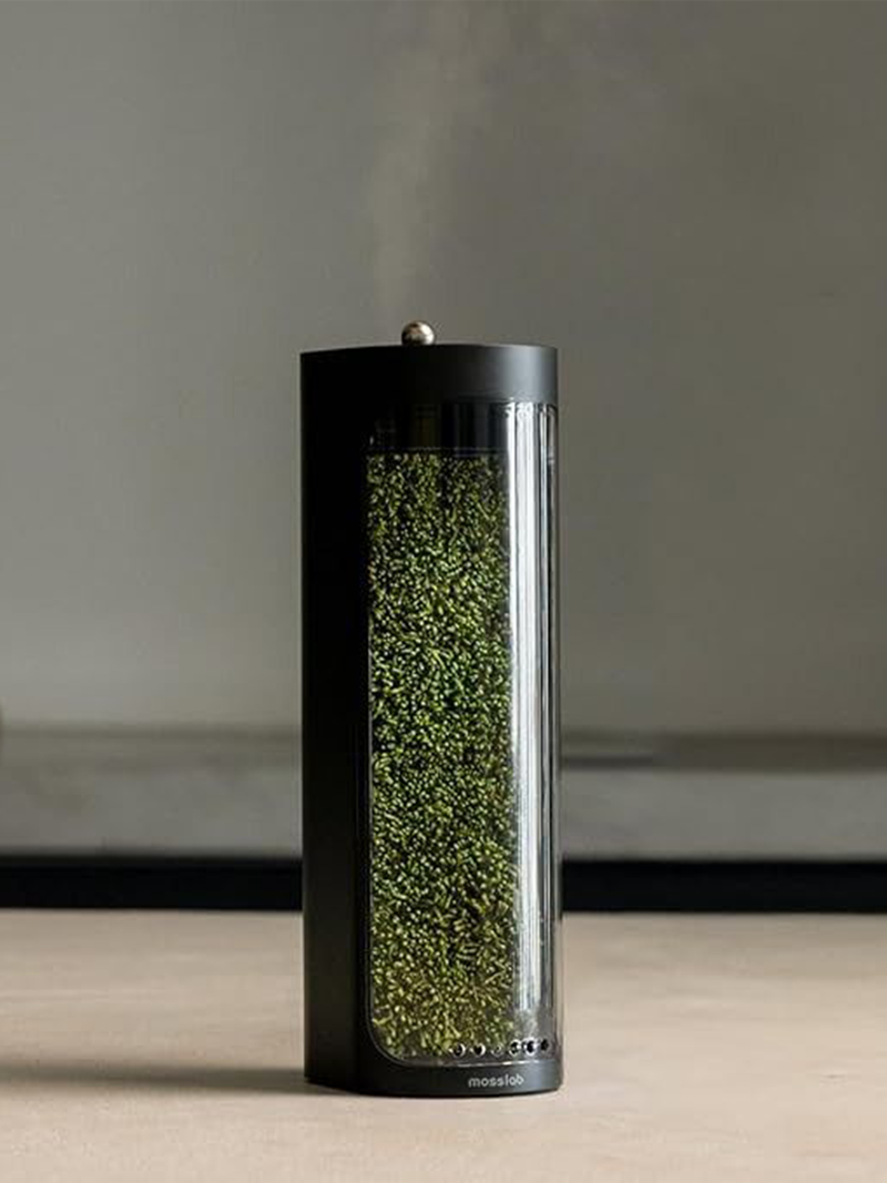 Moss Air Humidifier 