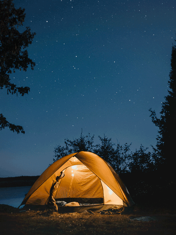 All The Gear You Need To Go Camping
