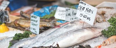 Everything To Know About Buying White Fish