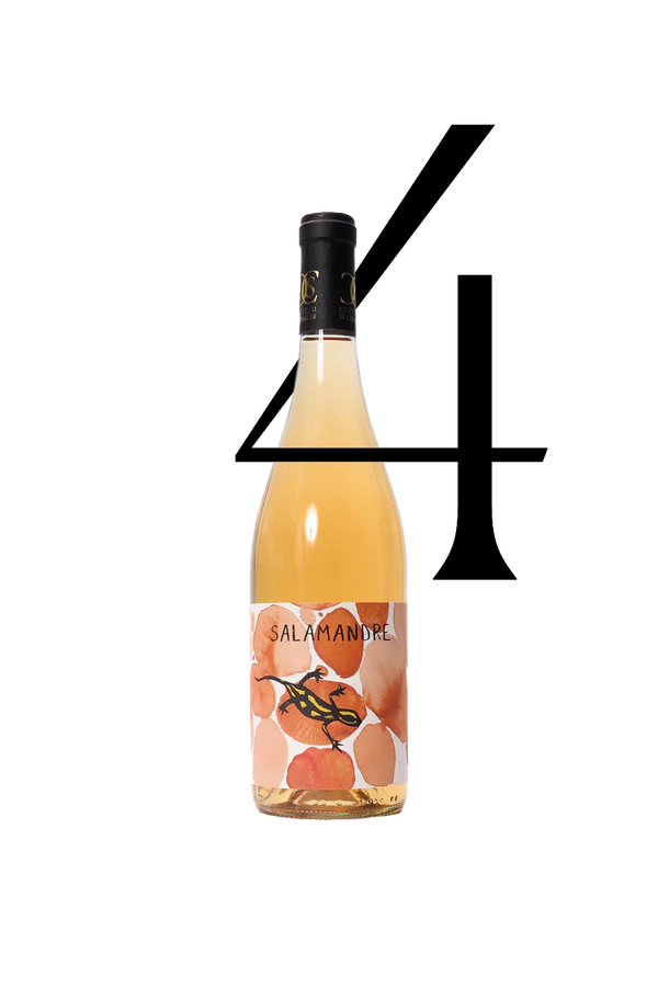 Salamandre: Easy Orange Wine From The Rhone from Chateau St Cyrgues