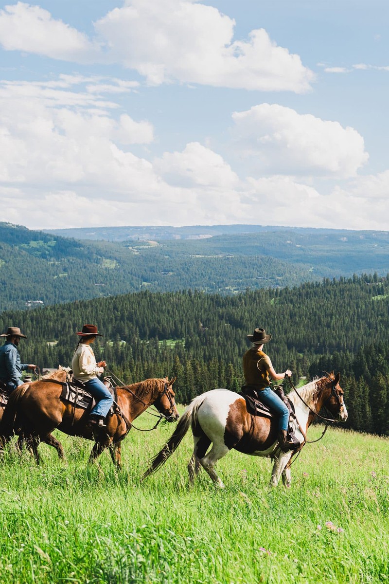 Lone Ranch