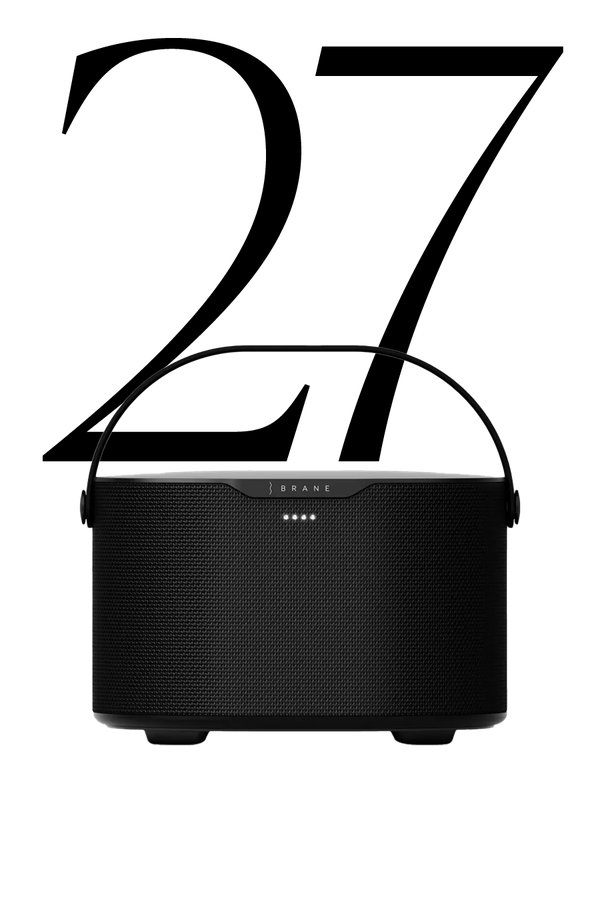 Smart Speaker from Brane