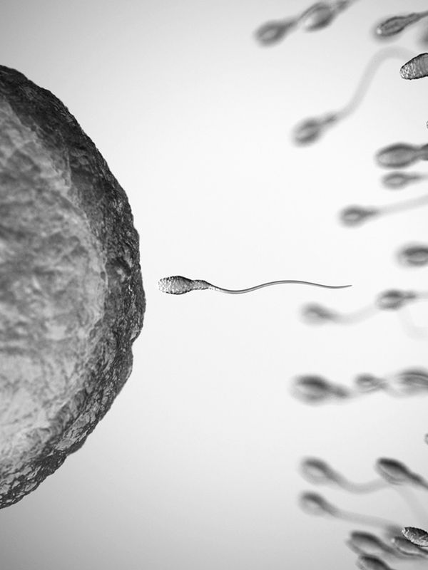 What The Experts Want You To Know About Sperm Health 