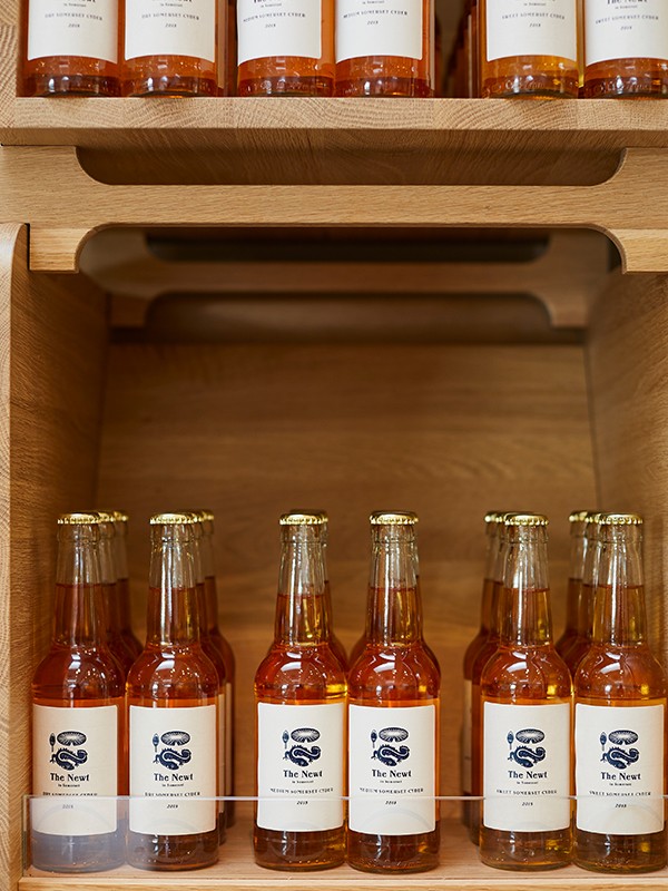 What You Need To Know About Cider