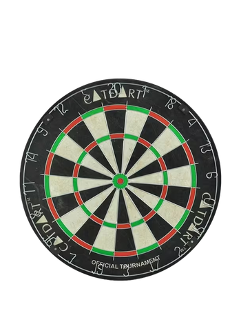 Champion Dart Board