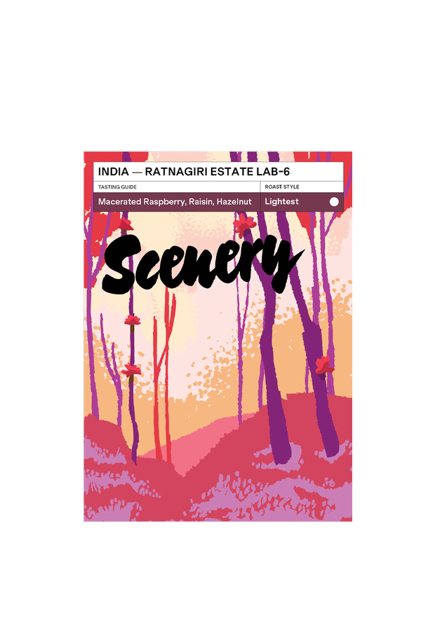 India Ratnagiri Estate LAB-6 Coffee from Scenery Coffee