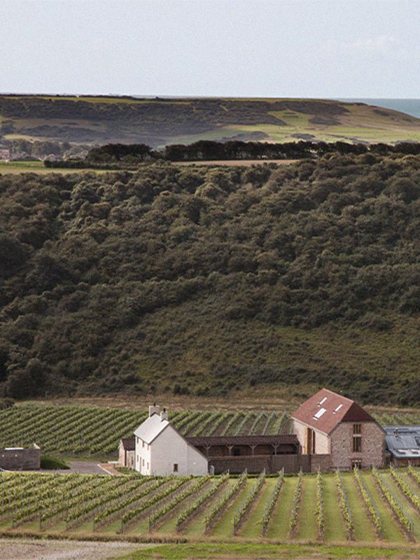 The Best UK Vineyards To Visit Now 