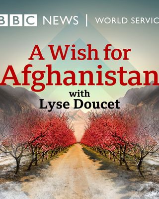 A Wish For Afghanistan 