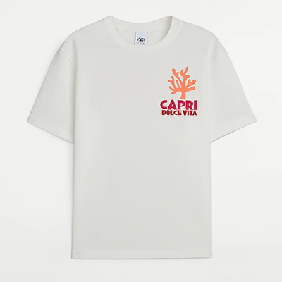  Embroidered Assouline T-Shirt from Zara