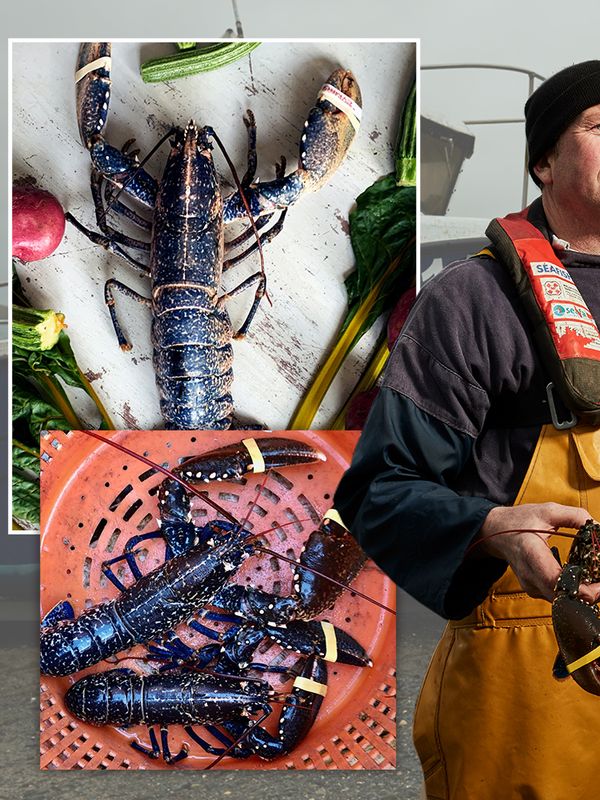 Success Story: Lockdown Lobsters