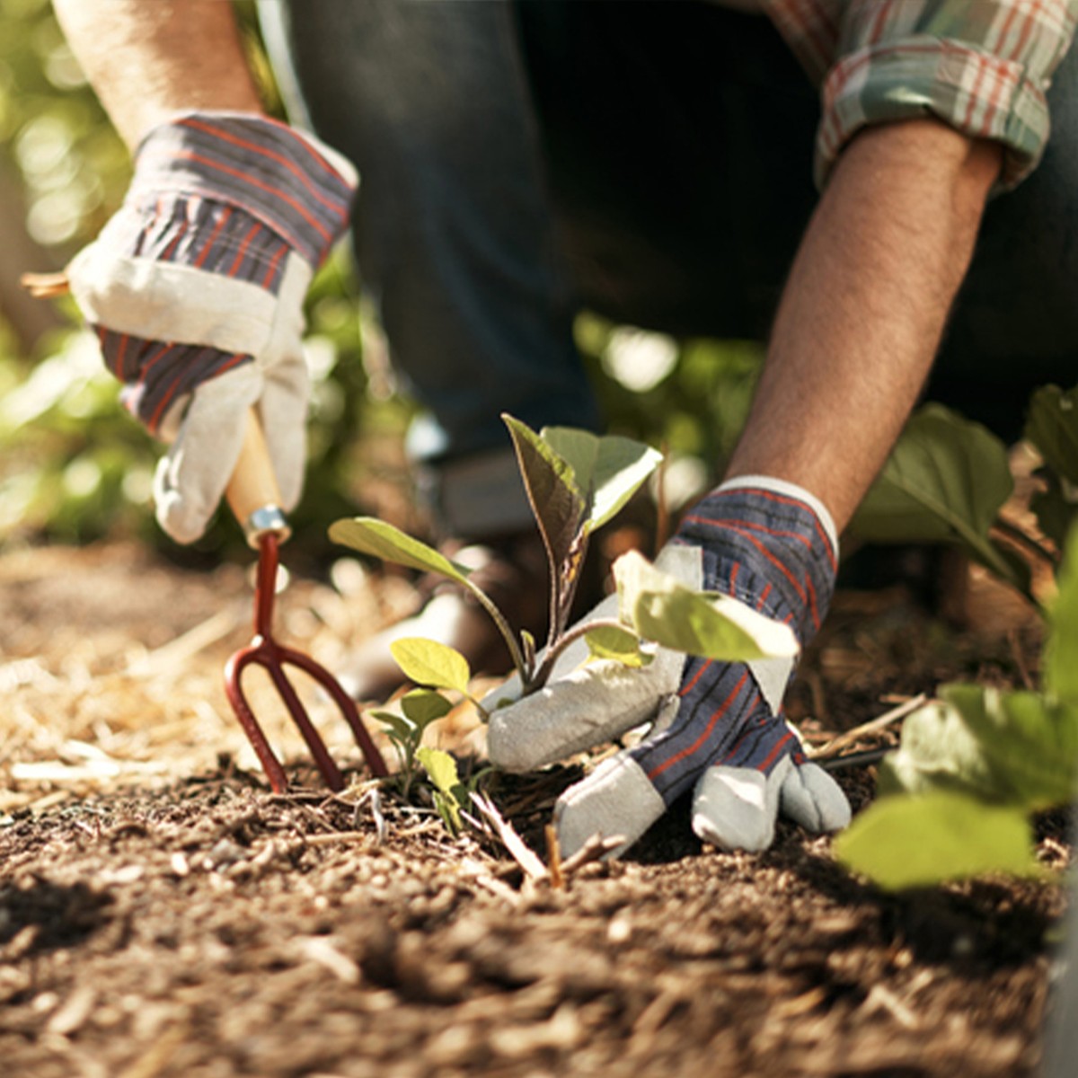 How To Make The Most Of Your Outdoor Space 