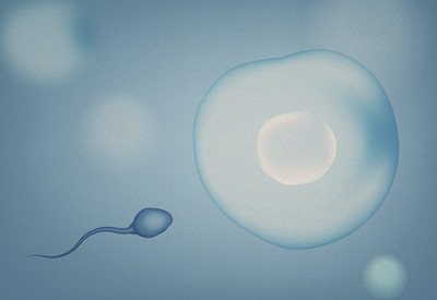 Sperm Health 101