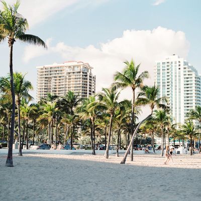 An Insider’s Guide To Miami