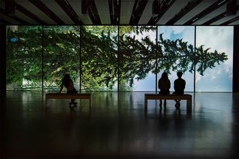 Eija-Liisa Ahtila, Horizontal - Vaakasuora, 2011 at Among The Trees. Courtesy of Hayward Gallery. Photo: Linda Nylindat