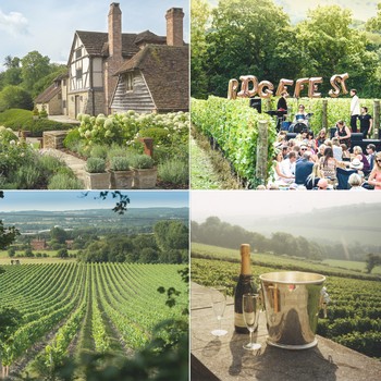 The Best UK Vineyards To Visit