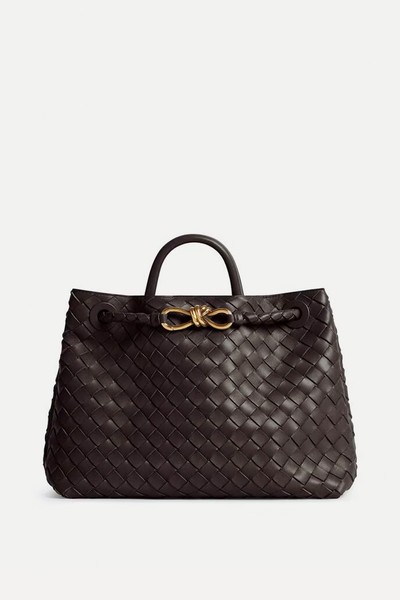 Andiamo Bag from Bottega Veneta