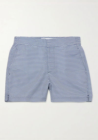 Mid-Length Printed Swim Shorts