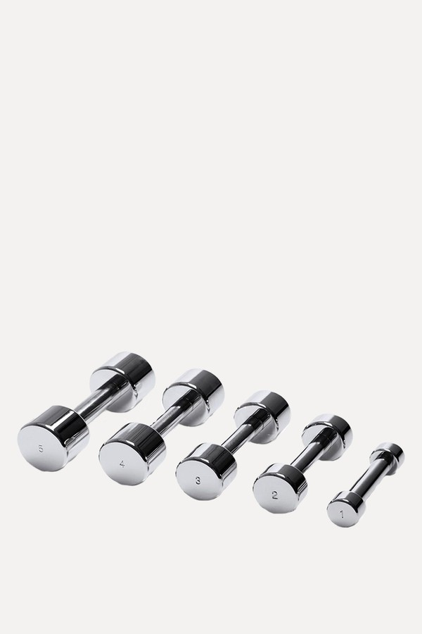 Chrome Dumbbells from Technogym