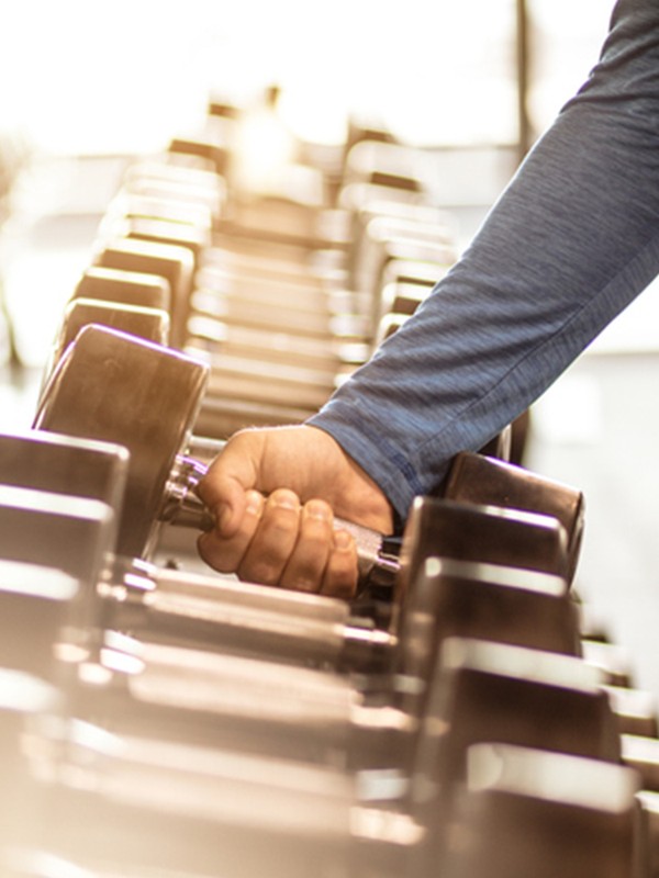 An Expert Guide To Building & Maintaining Muscle Mass