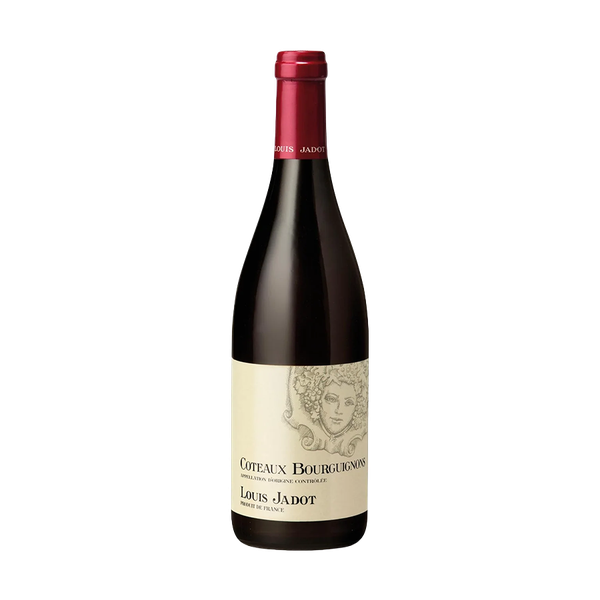 Coteaux Bourguignons 2024 Burgundy from Louis Jadot