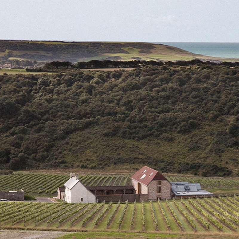 The Best UK Vineyards To Visit Now 