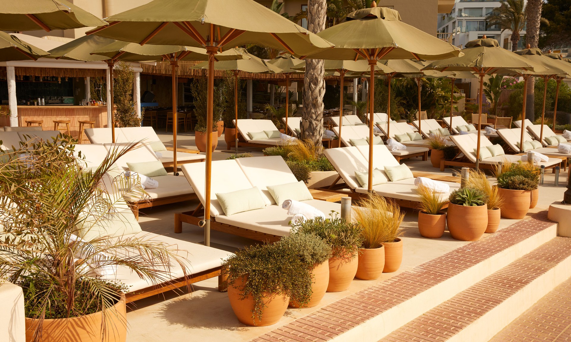 Yellow Fish At W Ibiza 