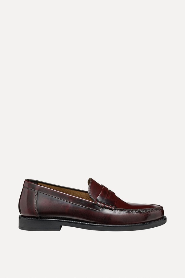 Recanati Loafers from Geox
