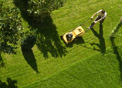 The Best Lawnmowers To Buy Now