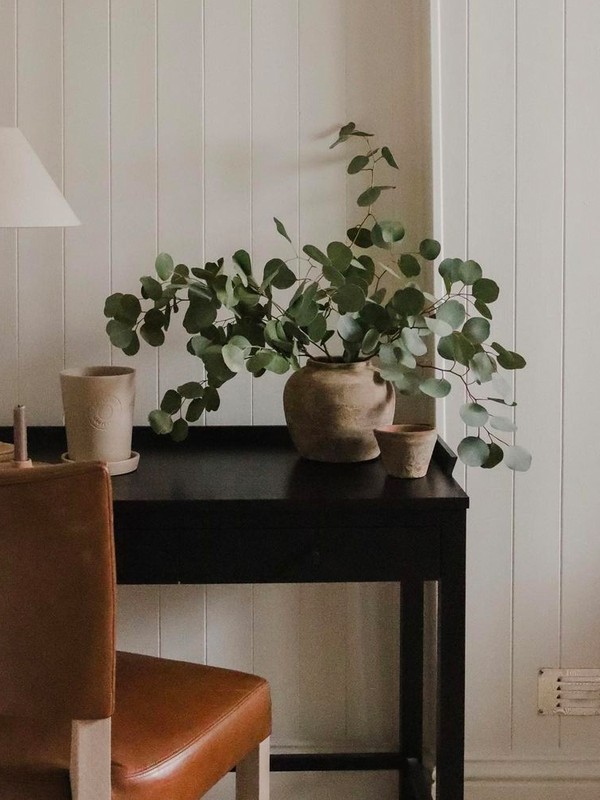 Interior Dos And Dont's With Toby's Home