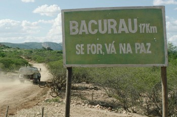 Bacurau