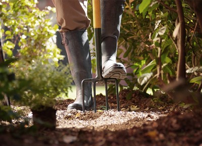 How To Get Into Gardening