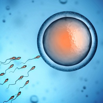 9 Ways To Boost Your Fertility