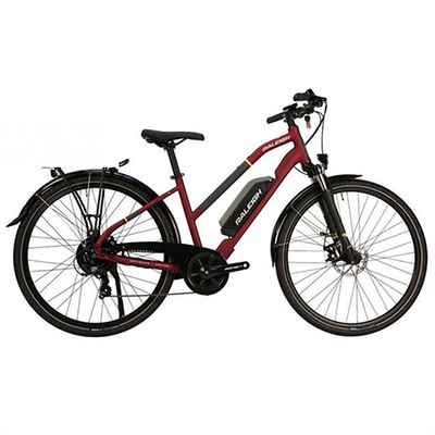 Array E Motion Lowstep 2020 Electric Hybrid Bike from Raleigh