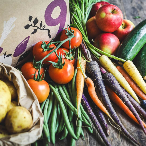 Seasonal Organic Fruit & Veg Box from Riverford