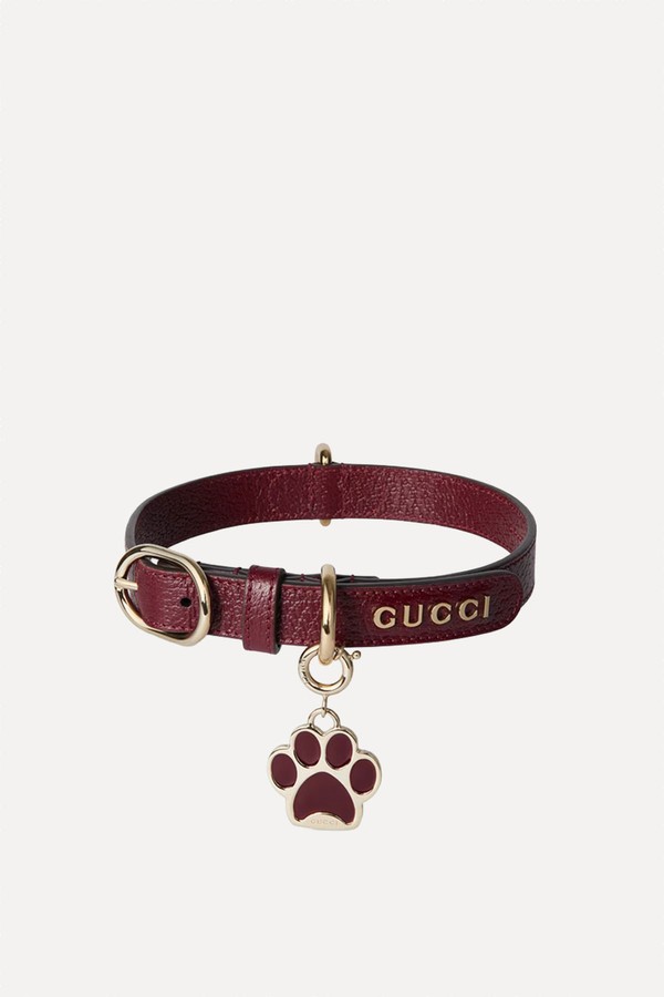 Small/Medium Collar from Gucci