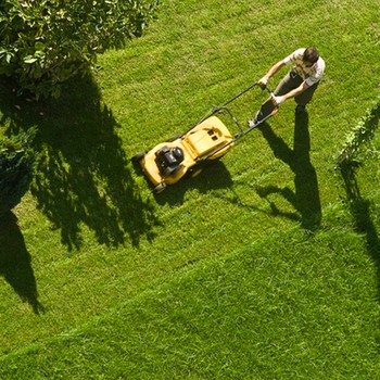 The Best Lawnmowers To Buy Now