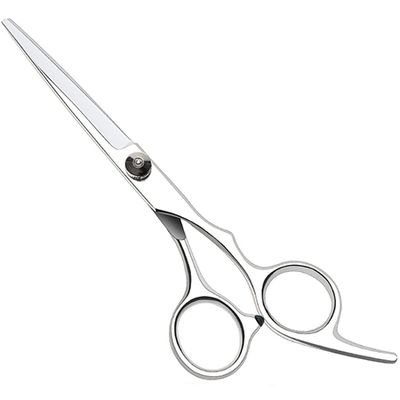 Professional Hairdressing Scissors