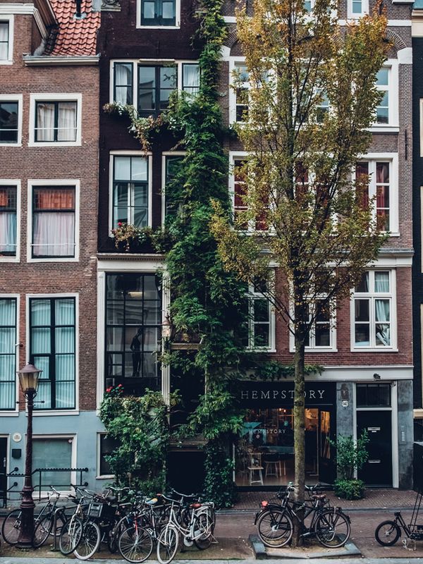 How To Spend A Weekend In Amsterdam