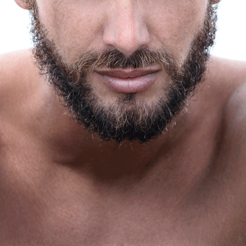 Everything You Need To Know About Beards