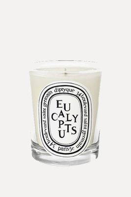 Eucalyptus Scented Candle from Diptyque